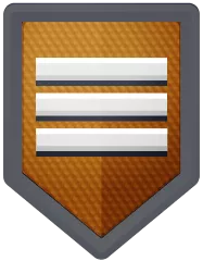 Icon of level 7